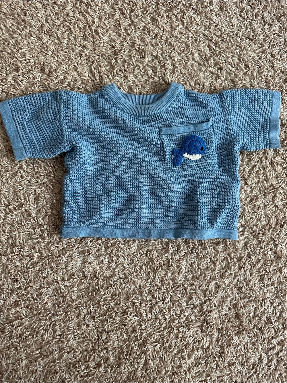 Zara Light Blue Knit Top with Whale Pocket